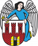 Miasto Toruń